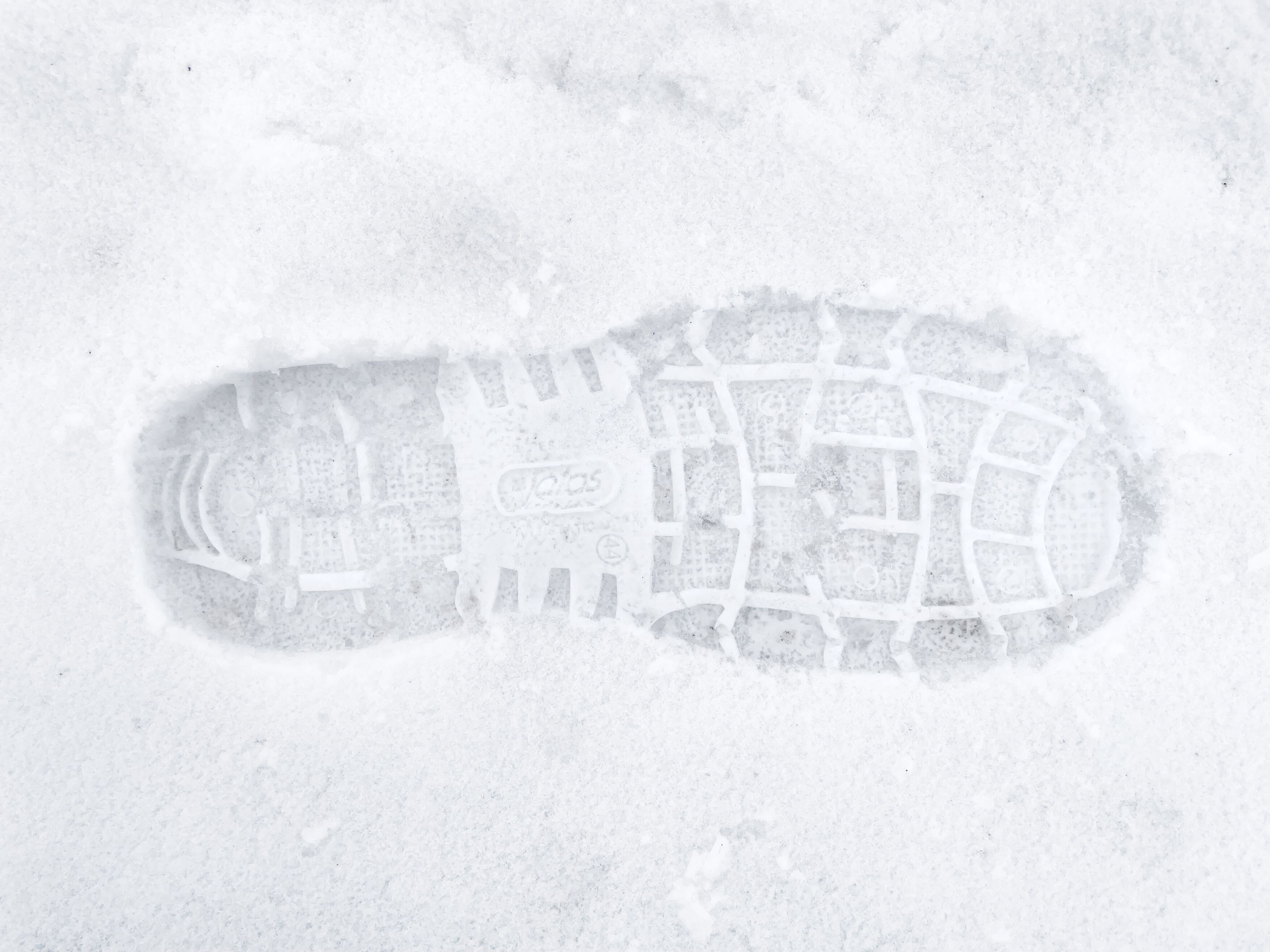 Environmental Footprint