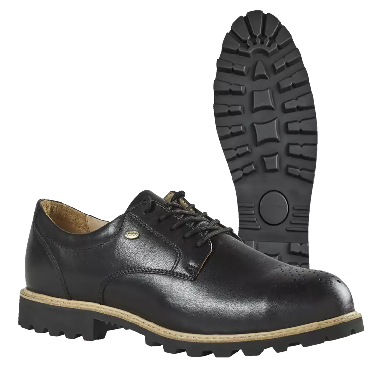 pi_21082.webp?format=webp&