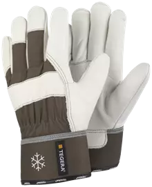 Leather glove TEGERA 56 Product image