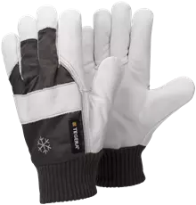 Leather glove TEGERA 57 Product image