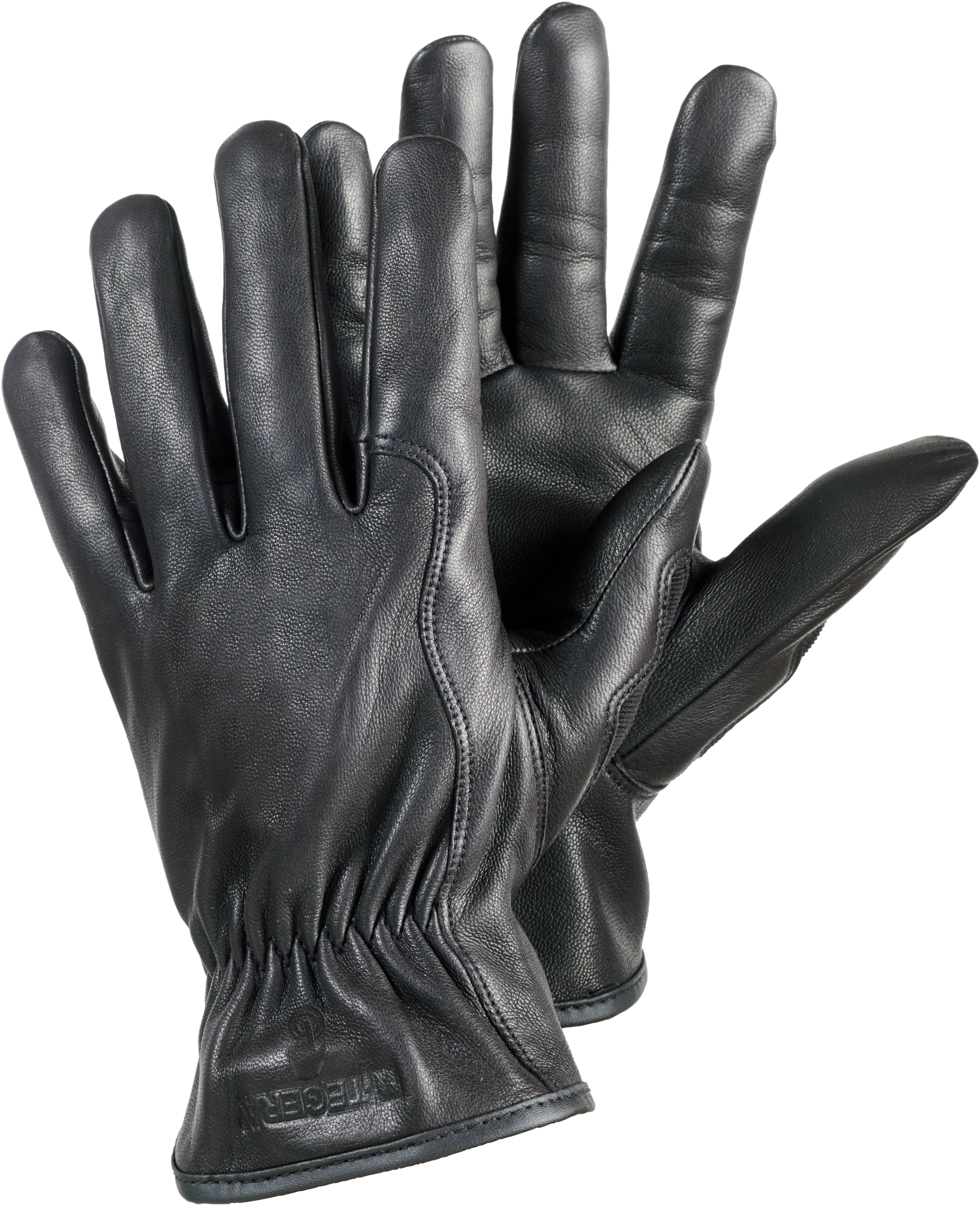 Cut resistant glove TEGERA 8555T Product image