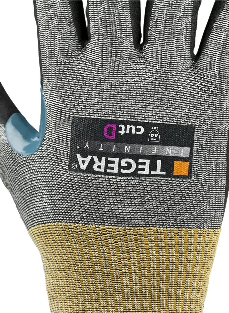 TEGERA Infinity 8807