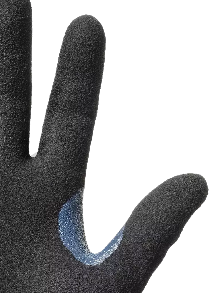 TEGERA Infinity 8807