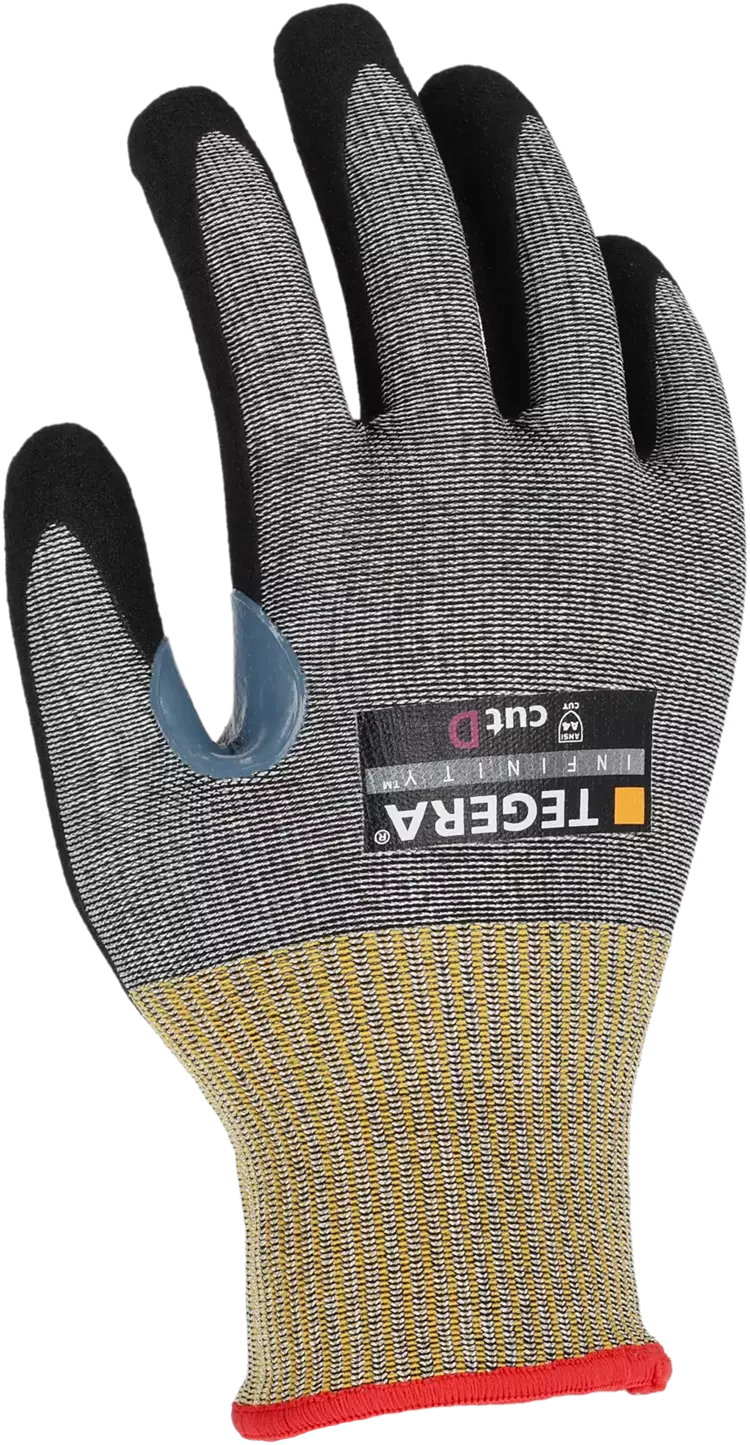 TEGERA Infinity 8807