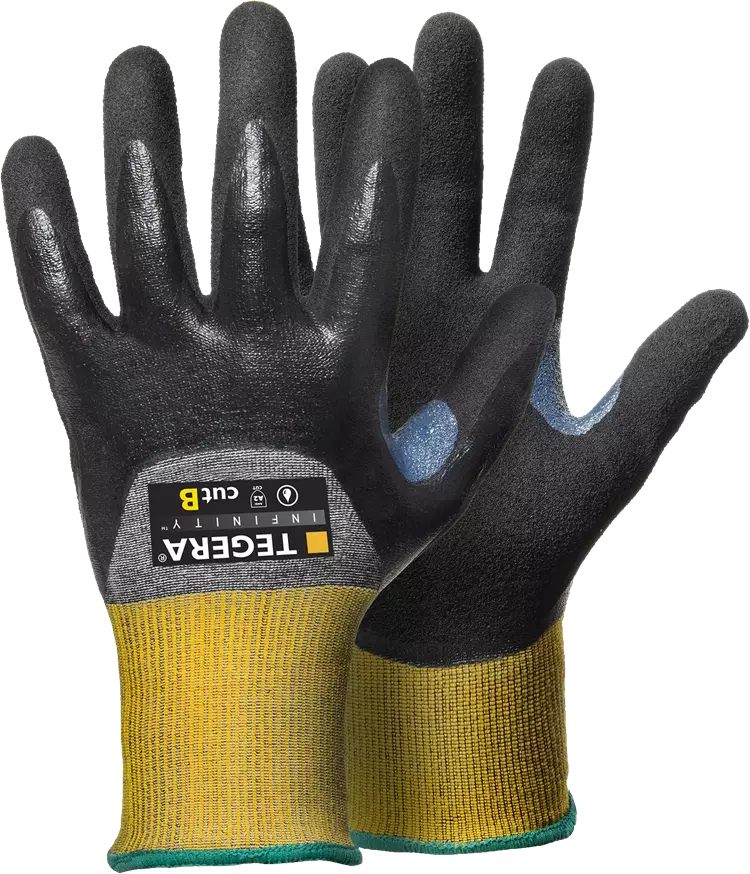 TEGERA Infinity 8806